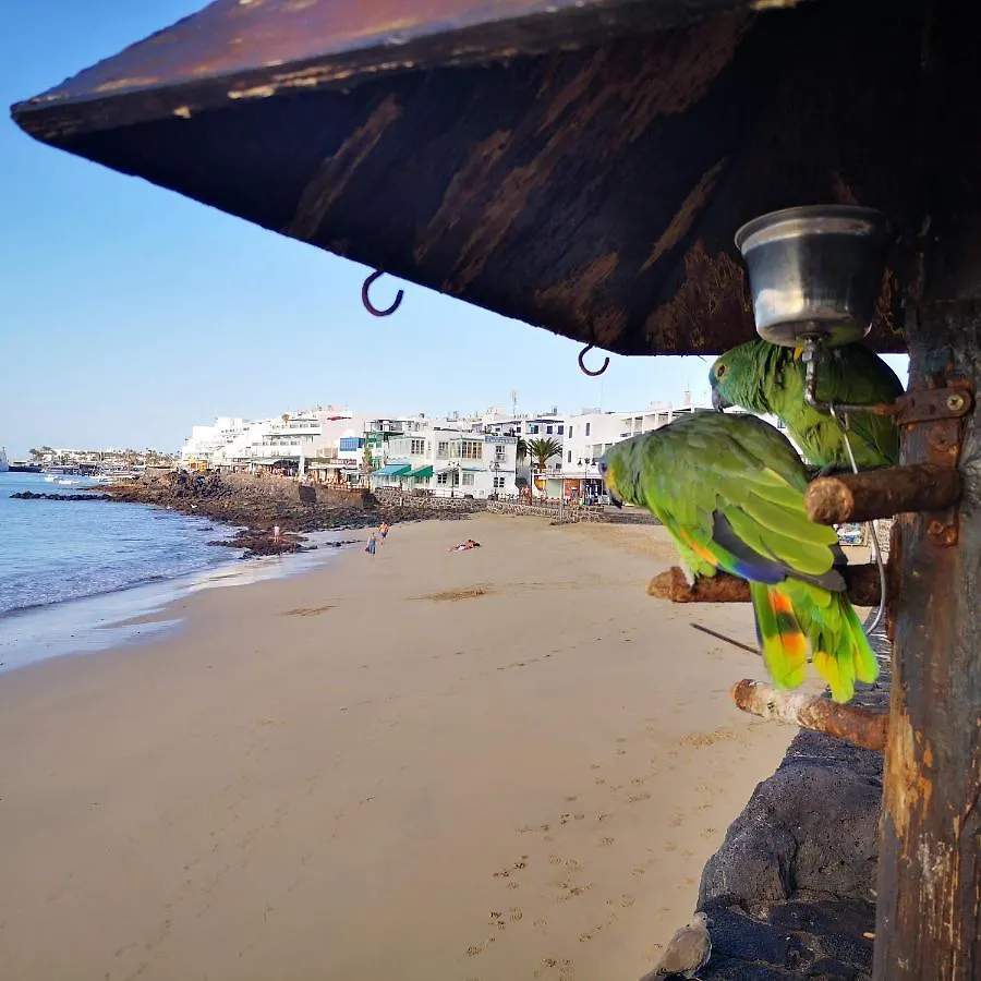 Apartamentos Mares de Lava - Playa Blanca